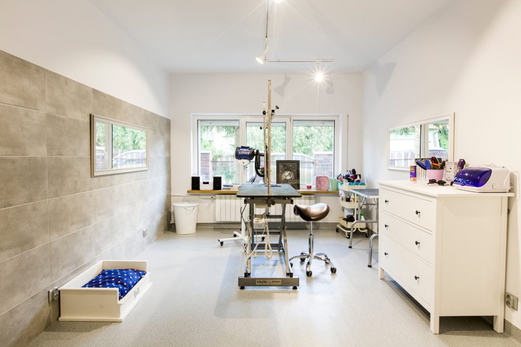 Lamborghini visual data 3